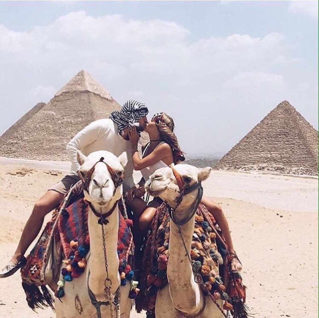camel enjoyinh Meme Template